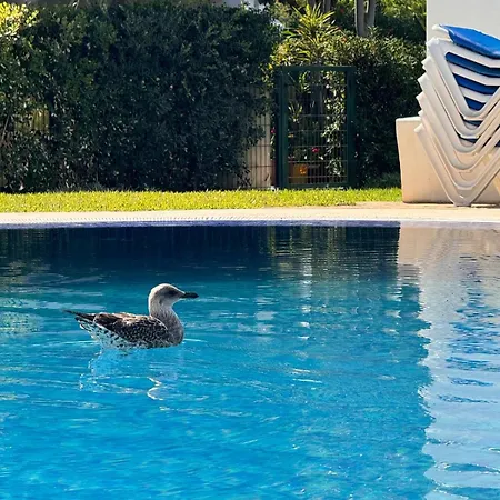 Bohemian Chic Famille Et 5 Piscines