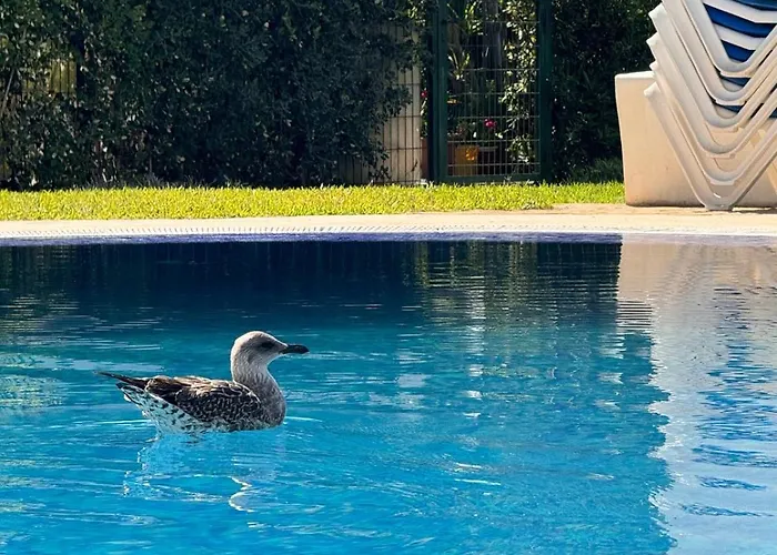 Bohemian Chic Famille Et 5 Piscines
