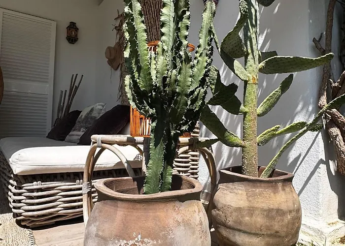 Bohemian Chic Famille Et 5 Piscines